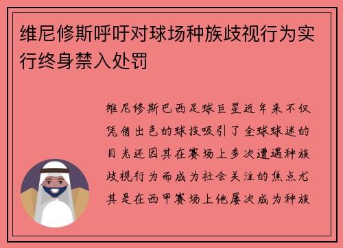 维尼修斯呼吁对球场种族歧视行为实行终身禁入处罚